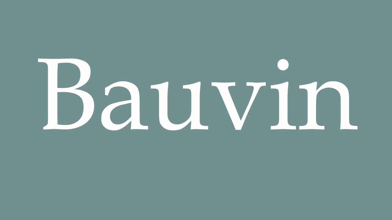 Logo de la ville Bauvin