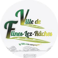 Logo de la ville Flines-lez-Raches